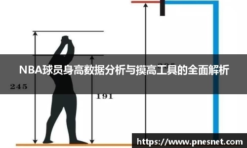 NBA球员身高数据分析与摸高工具的全面解析
